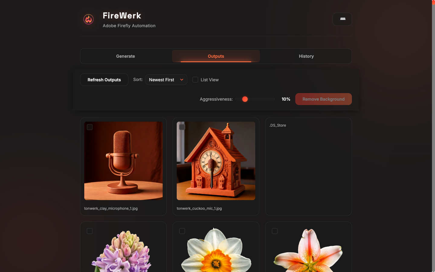 FireWerk Outputs Tab - View and manage generated images